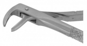 Extracting Forceps Lower Premolars & Canines#75E